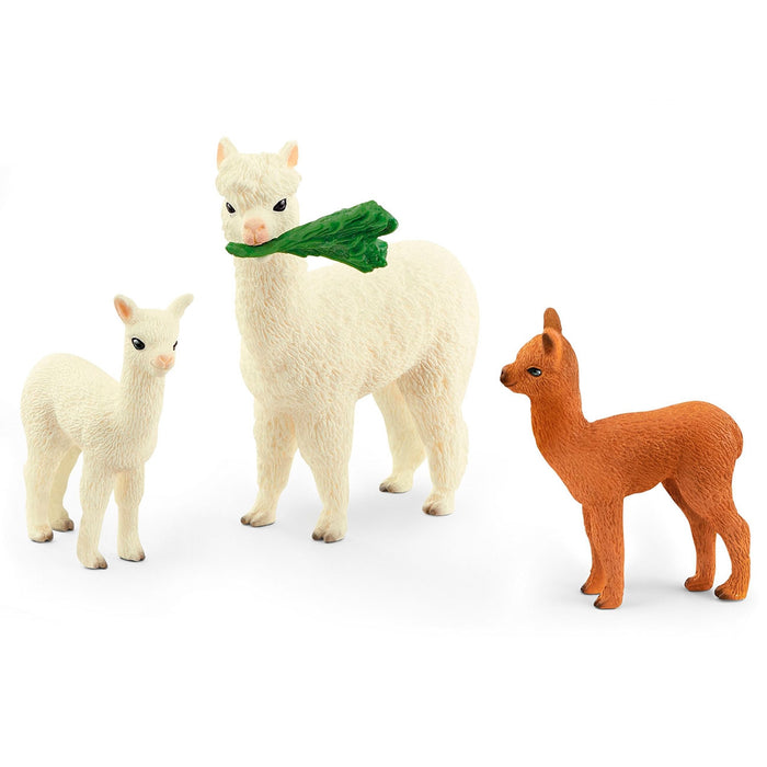 Set de alpaca