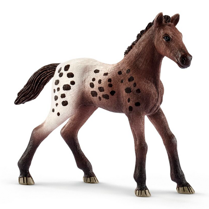 Potro de appaloosa