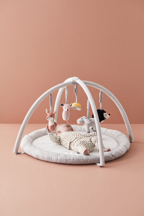 Baby Gym (Edvin)