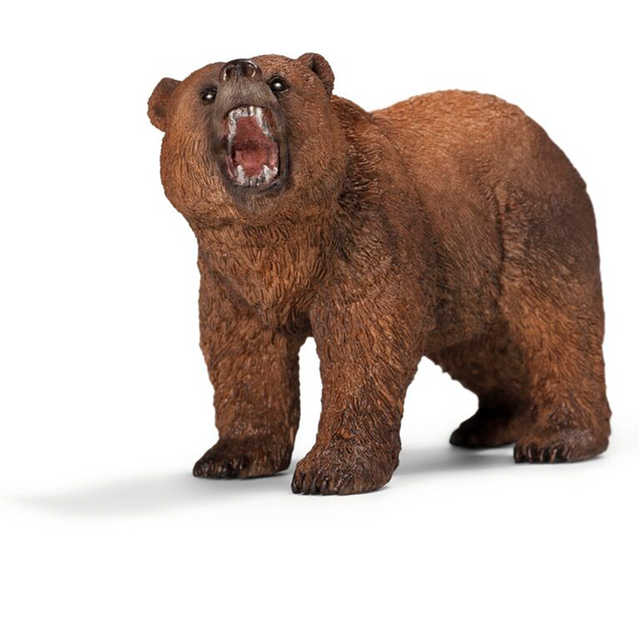 Oso grizzly