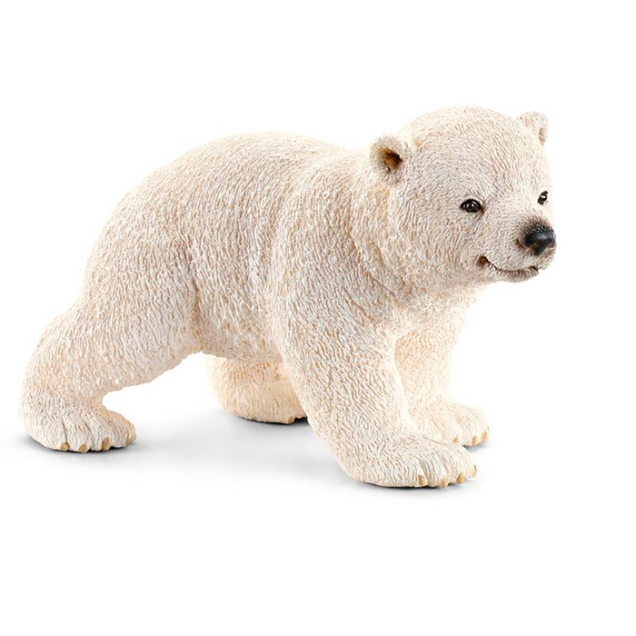 Cachorro de oso polar