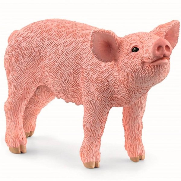 Cerdito