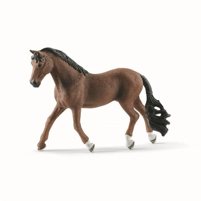 TrakeHner Gelding