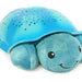 Twillight Turtle, aqua